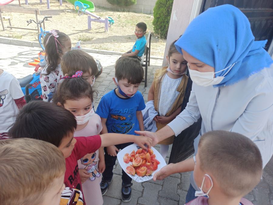 DOĞAL YAŞAMI ANAOKULUNDA ÖĞRENİYORLAR