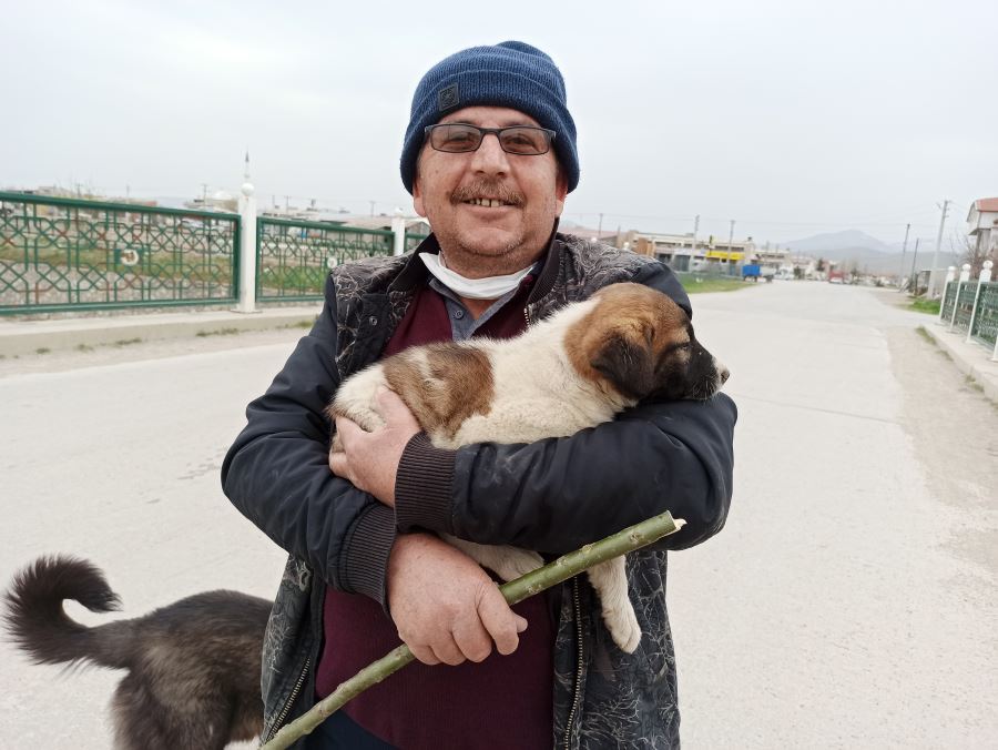 Vatandaştan yavru köpek kurtarma operasyonu