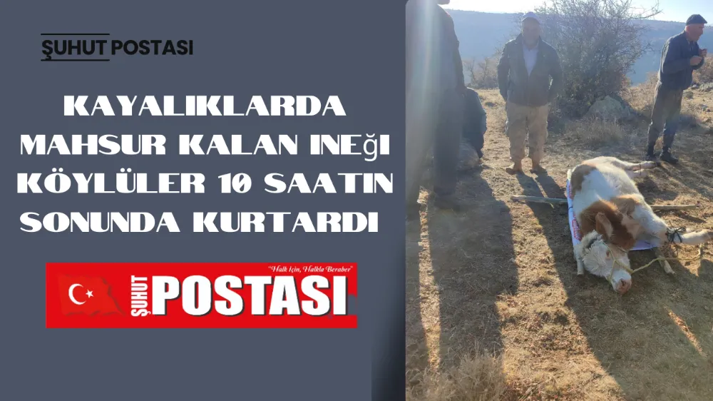 Kayalıklarda mahsur kalan ineği köylüler 10 saatin sonunda kurtardı