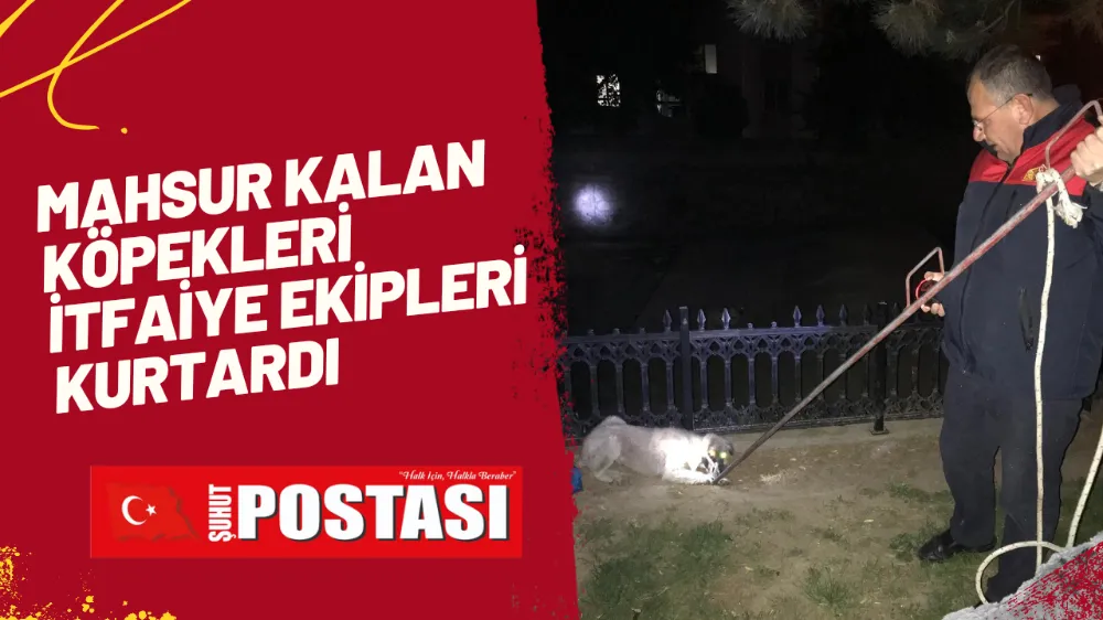 Şuhutta Mahsur kalan köpekleri İtfaiye Ekiplerimiz Kurtardı