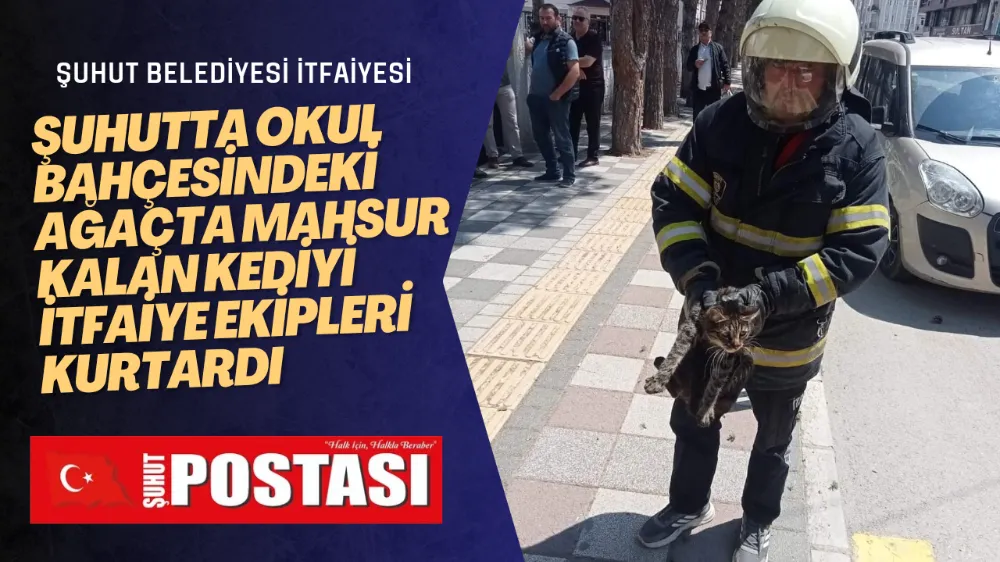 Şuhutta okul bahçesindeki ağaçta mahsur kalan kediyi itfaiye ekipleri kurtardı 