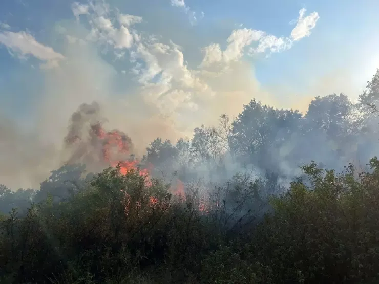 Şuhutta dağlık alanda çıkan yangın söndürüldü