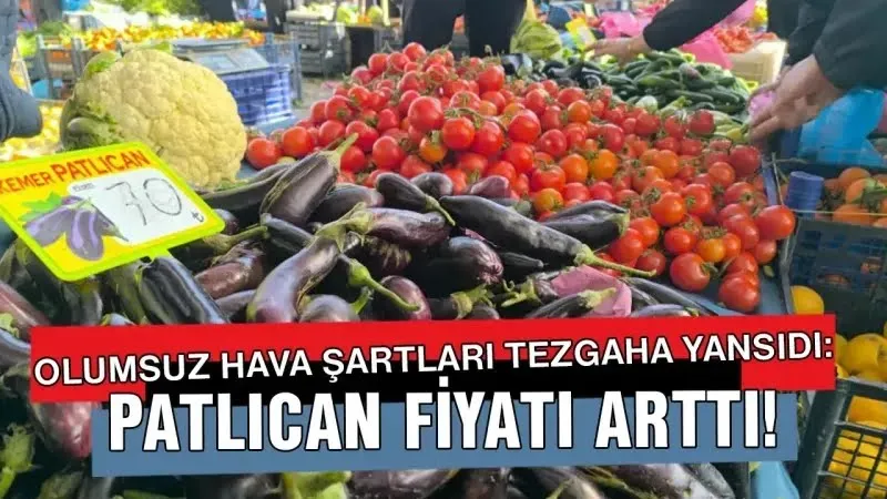 Olumsuz hava şartları patlıcan fiyatlarını yükseltti